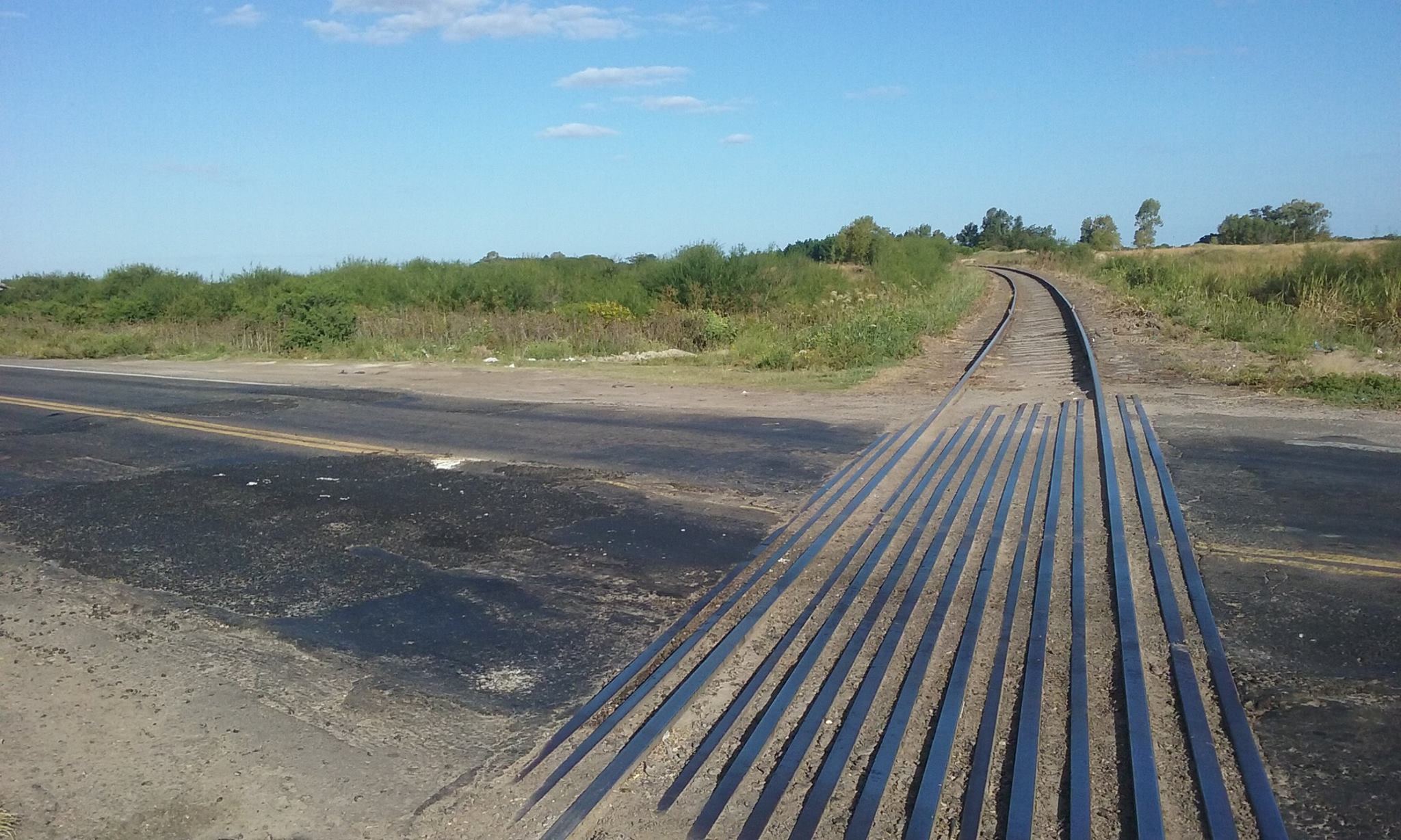 1491274_579255338918018_843287004547413692_o